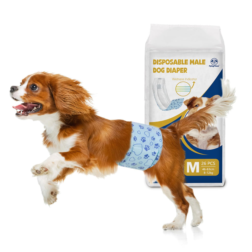 Flying Paws indice-humidite: indicateur visuel pour surveiller l’humidité et l’hygiène.