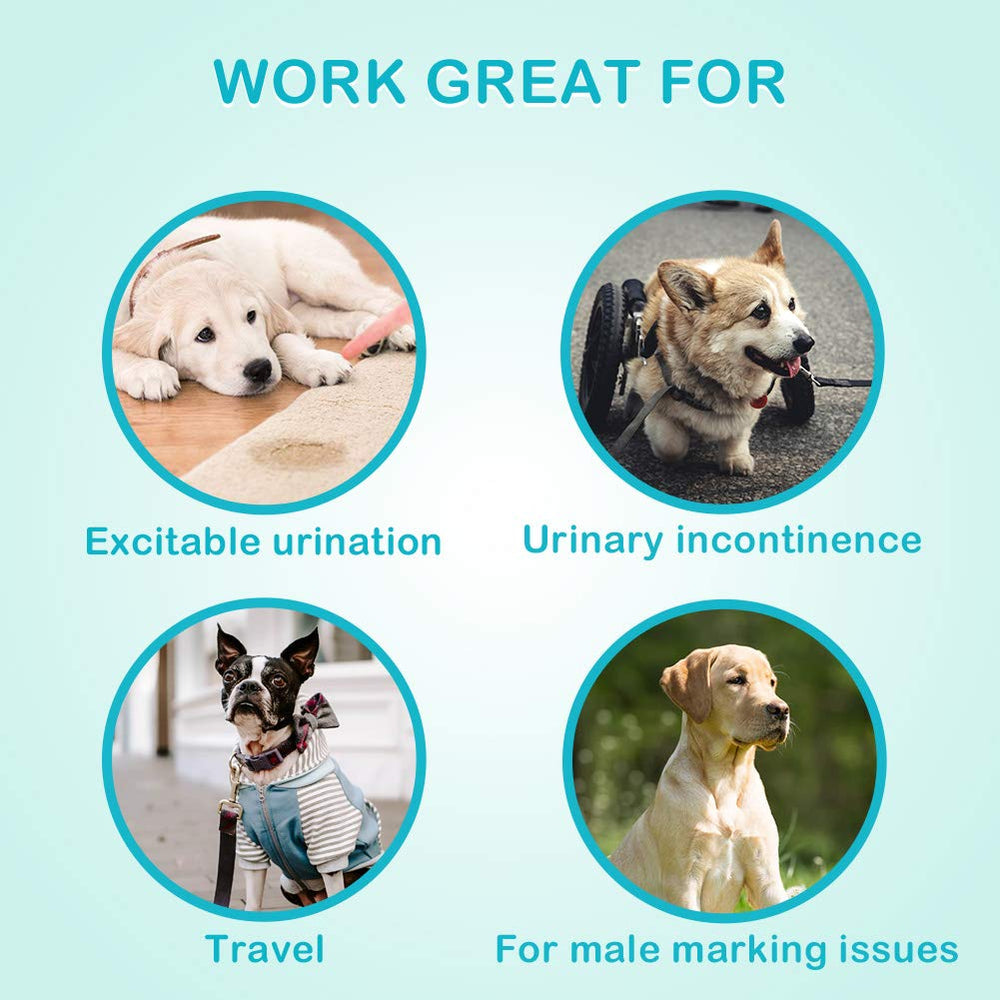 Adapté voyage: Flying Paws pour chien mâle, facile à utiliser lors de longs trajets