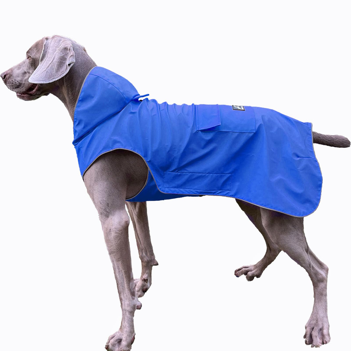 FLYING TAIL manteau pluie chien sans rigidité bleu xxxl, confort doux pour sortir sous la pluie.