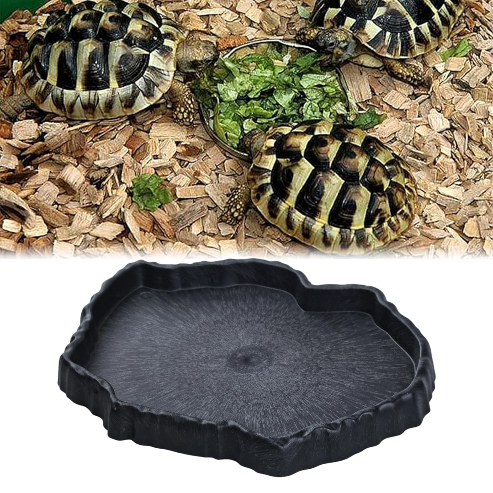 Flylin assiette terrarium reptile polyvalente pour alimentation et eau.