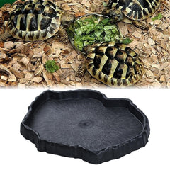 Flylin assiette terrarium reptile polyvalente pour alimentation et eau.
