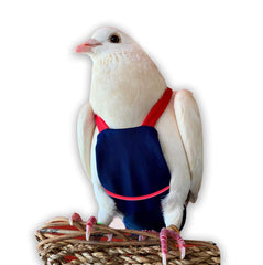 Flyper vue avant – confort et liberté pour l'oiseau.