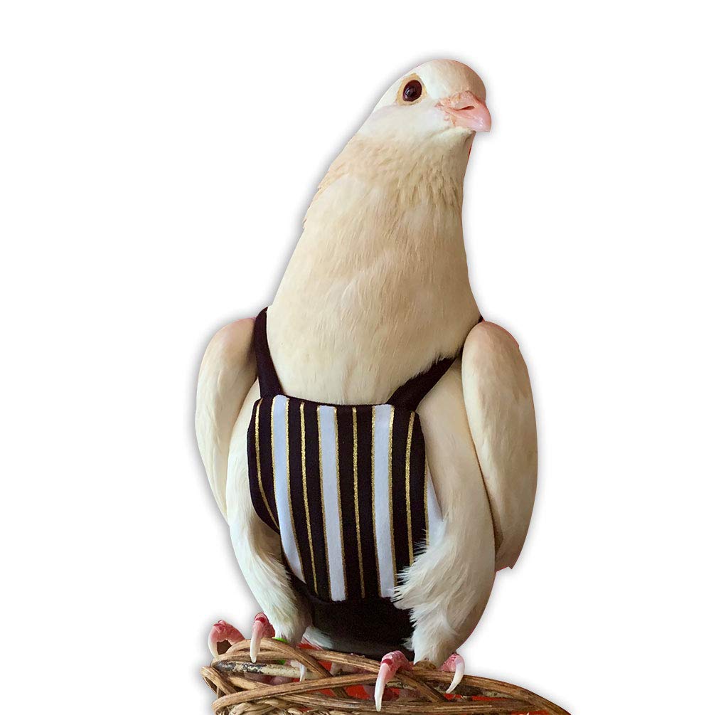 Flyper couches réglables pour oiseaux offrant confort et liberté de mouvement