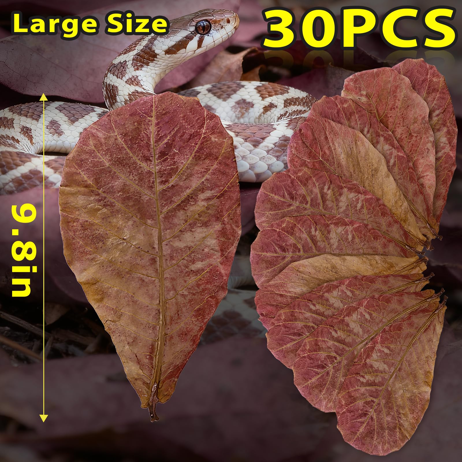 FlyweightZ ensemble de feuilles d’amandier indien 9,8 po, décoration naturelle et refuge pour poissons