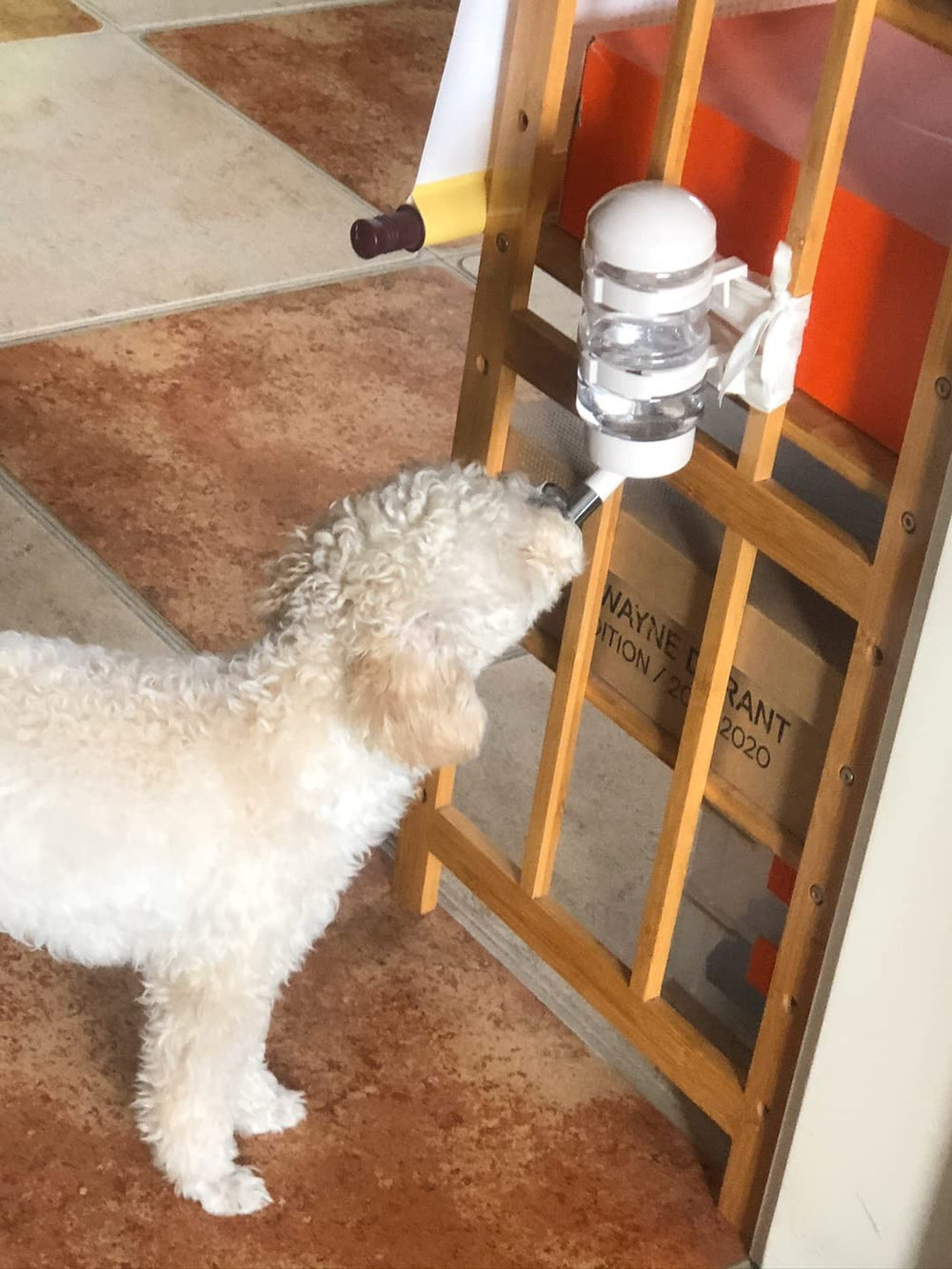 FOBLOEER bec en inox, durable et sûr pour chiens et chats