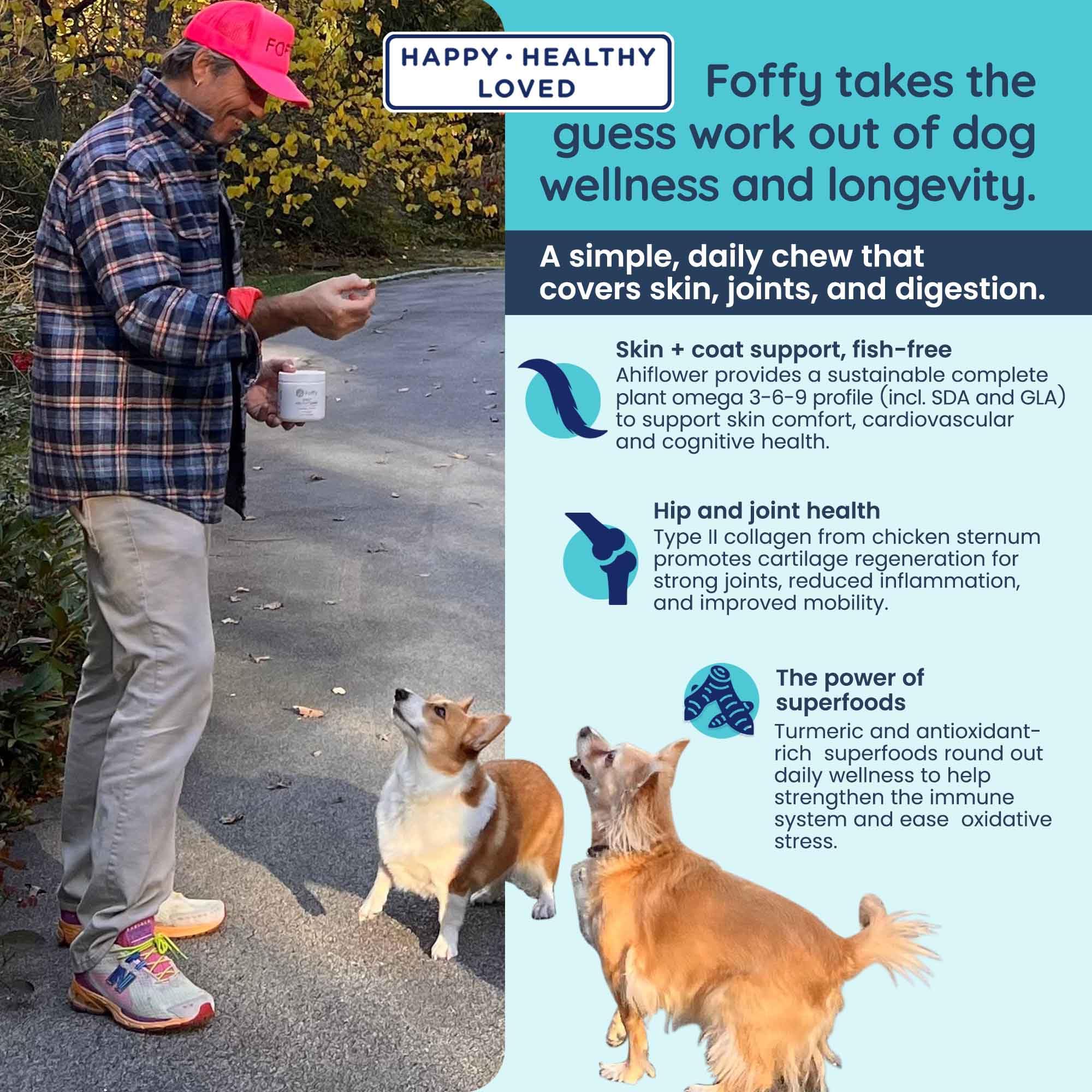 foffy dosage adapté à la taille du chien