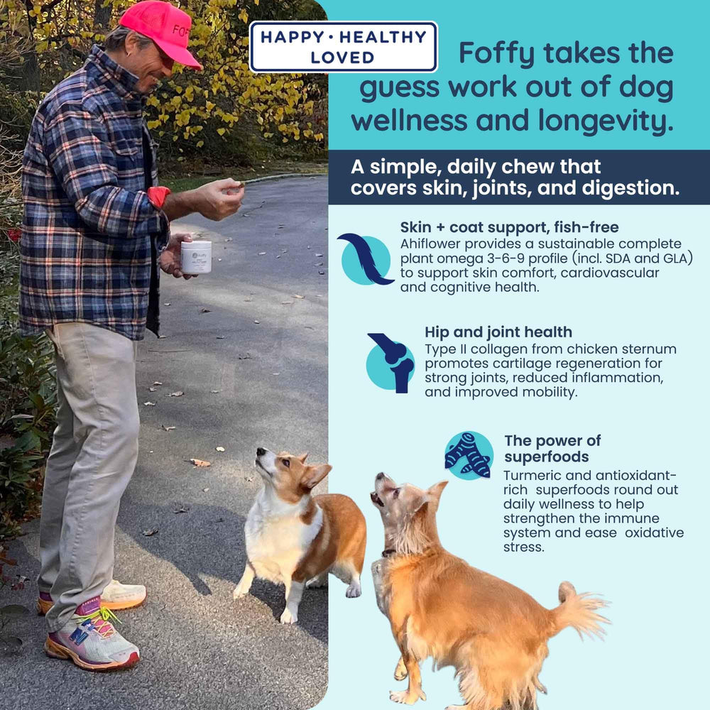 foffy dosage adapté à la taille du chien