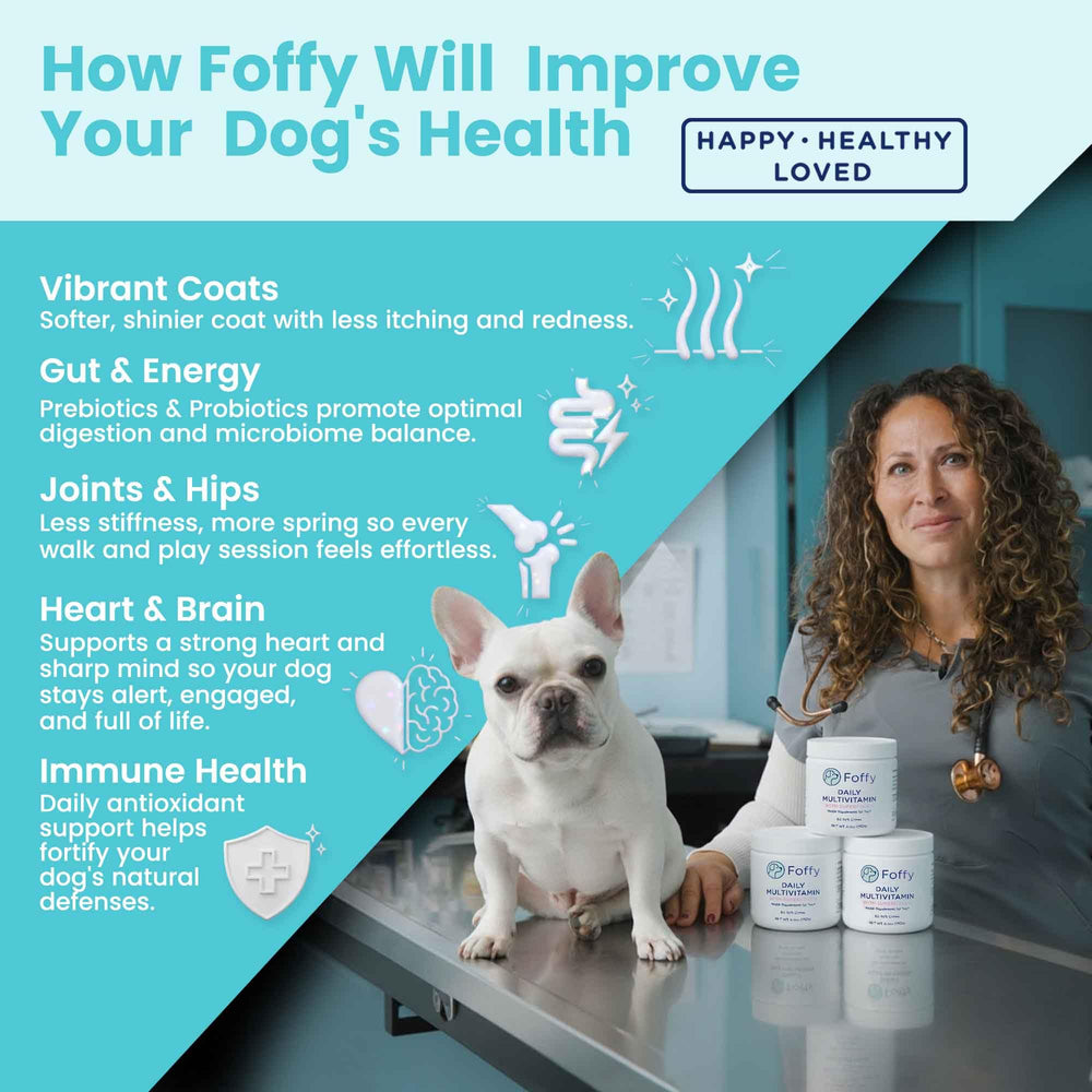 foffy myrtilles et super-aliments, antioxydants et fibres