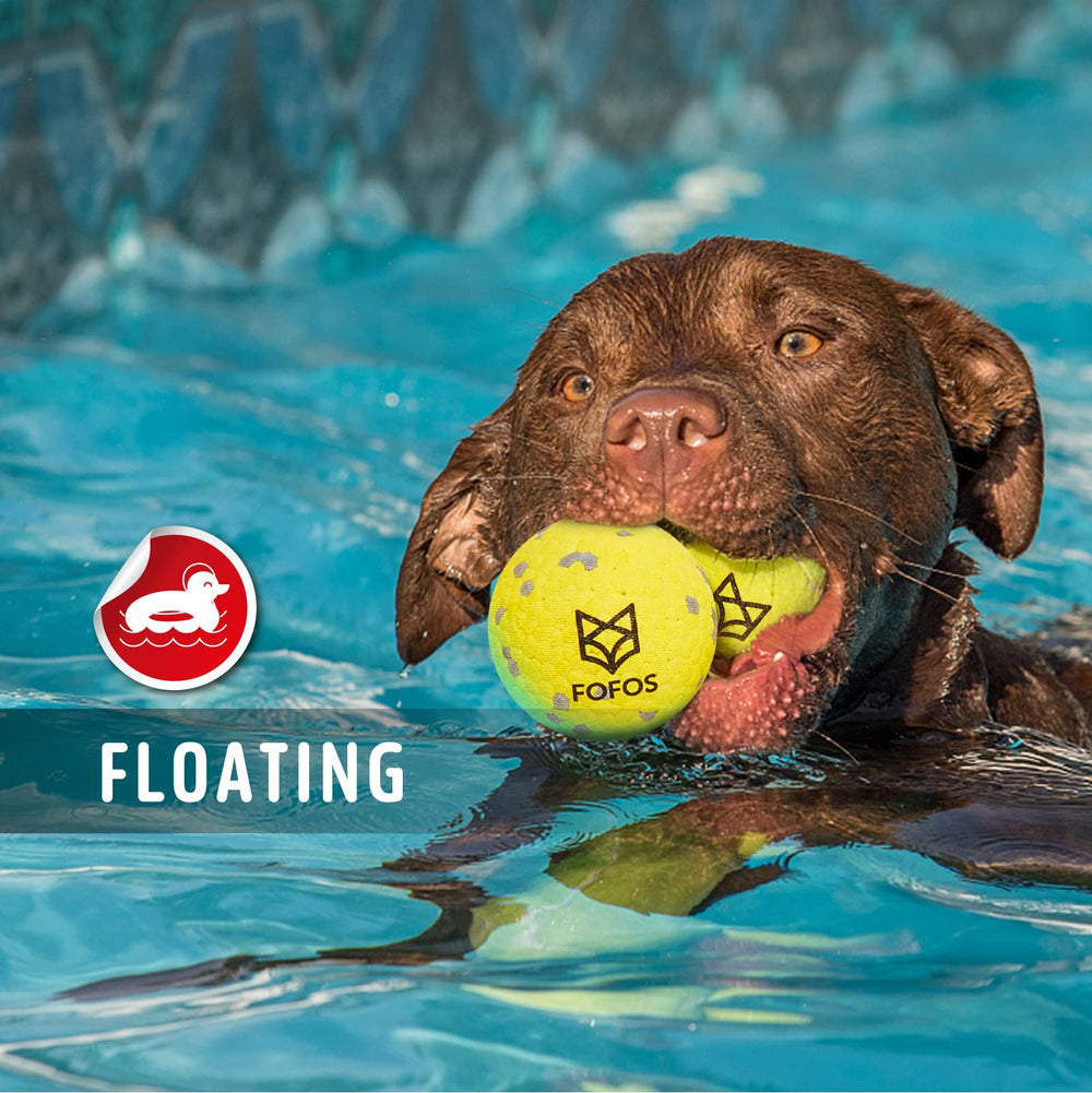 FOFOS ensemble de 4 balles: pack pratique pour chiens actifs.