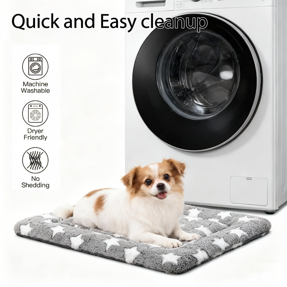 Fogkiss dog bed: design compact et roulable pour rangement