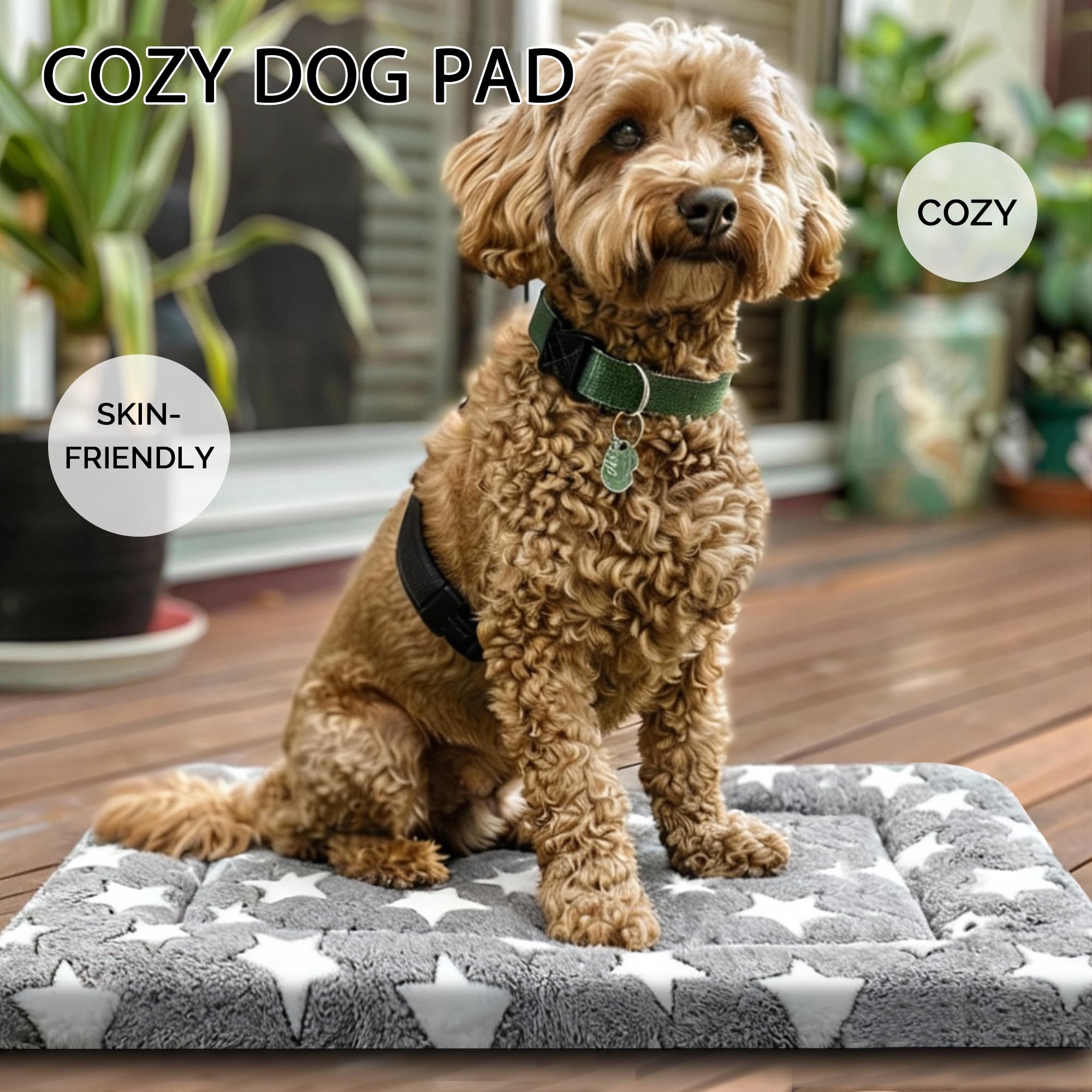 Fogkiss dog bed: confort idéal pour chiots et petites races