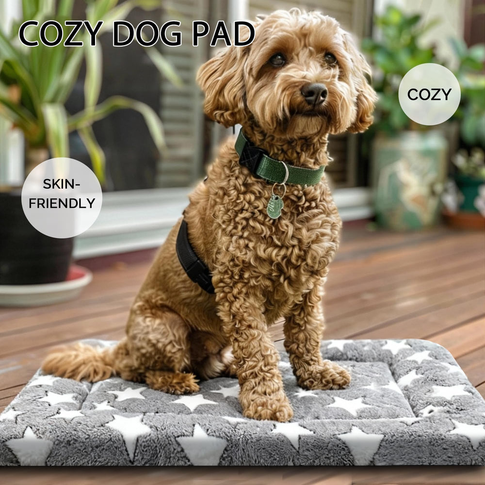 Fogkiss dog bed: confort idéal pour chiots et petites races
