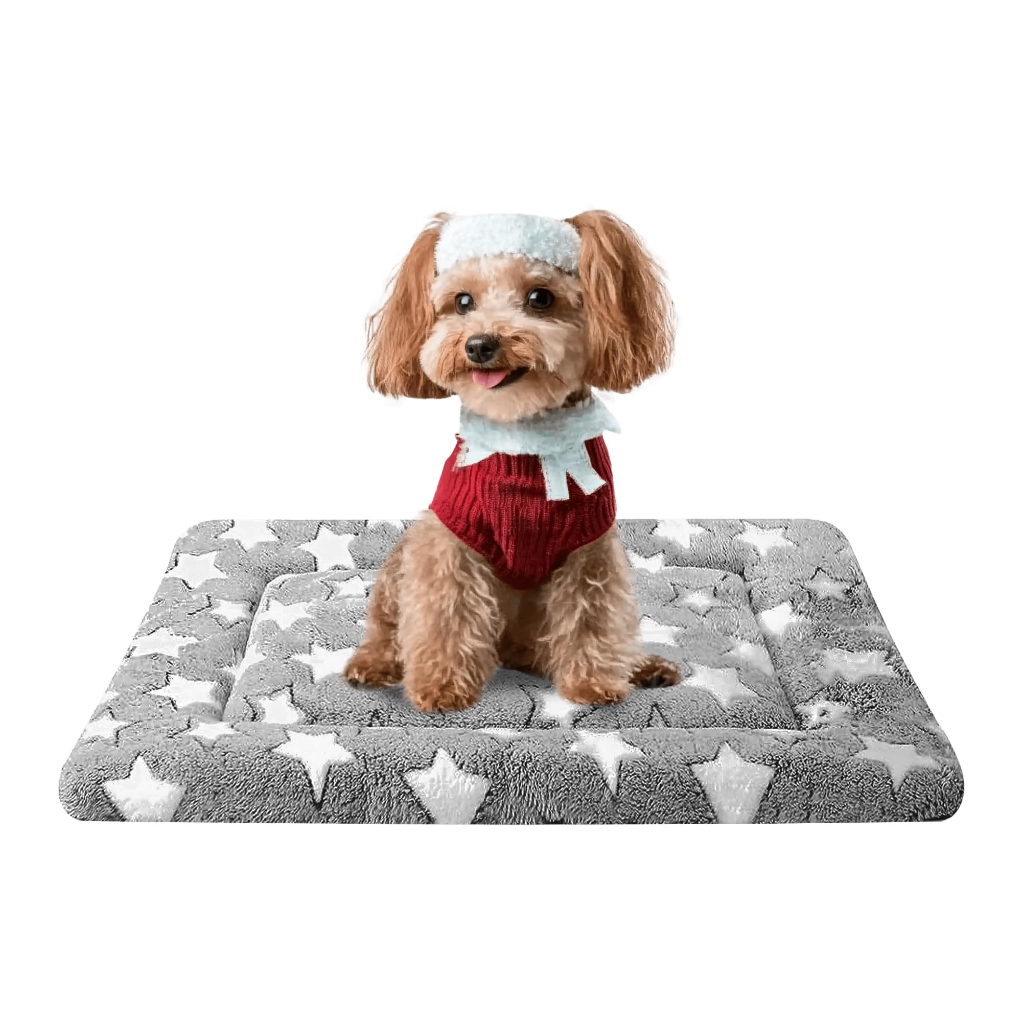 Fogkiss dog bed: matelas double-face pour chien offrant confort ajustable selon la saison