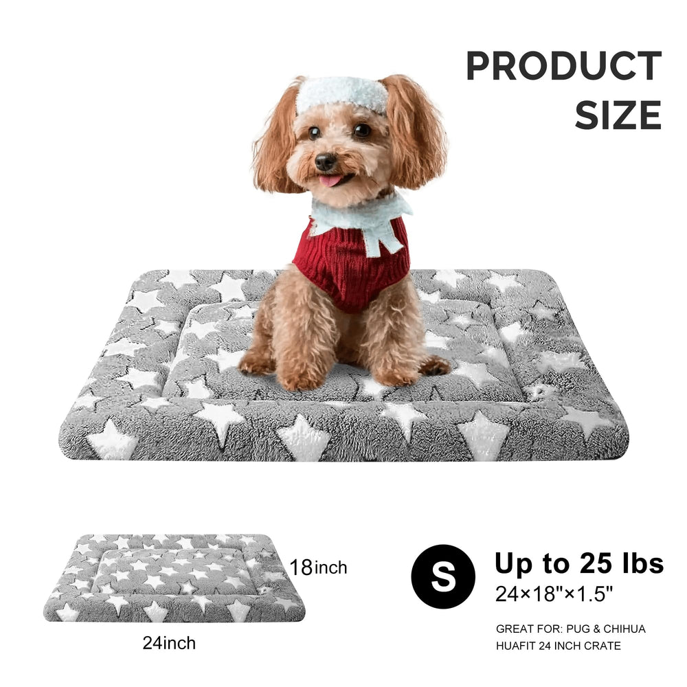 Fogkiss dog bed: portable pour caisse, compagnon de voyage pratique