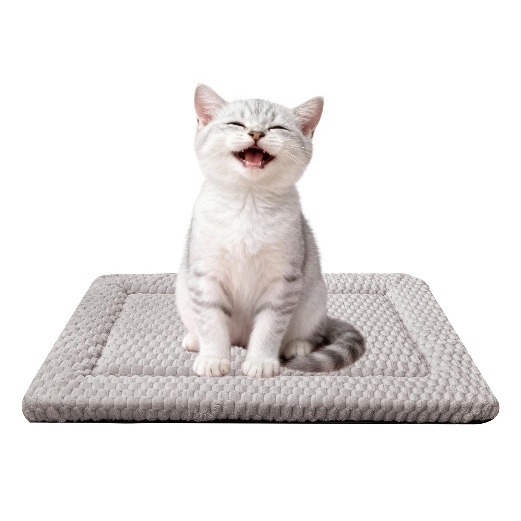 Fogkiss Tapis-Caisse Chien Réversible: confort durable et facile à utiliser dans la cage.
