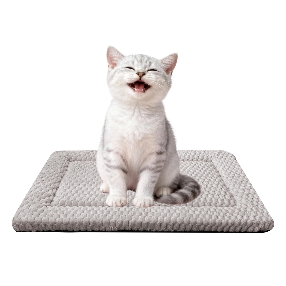 Fogkiss Tapis-Caisse Chien Réversible: confort durable et facile à utiliser dans la cage.