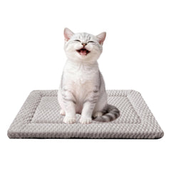 Fogkiss Tapis-Caisse Chien Réversible: confort durable et facile à utiliser dans la cage.