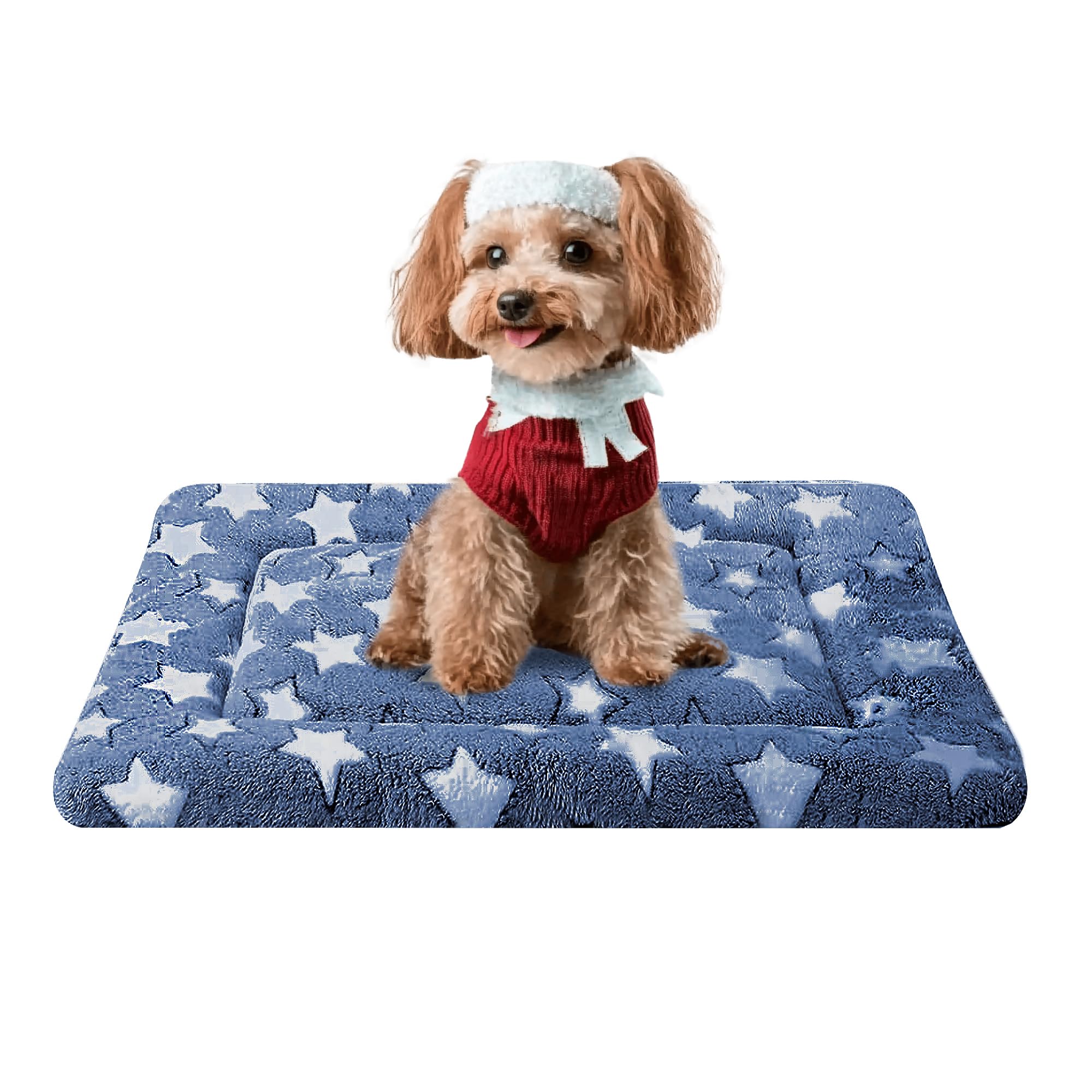 Fogkiss tapis-chien-caisse bleu-etoiles-face – confort immédiat dans la cage pour chien.