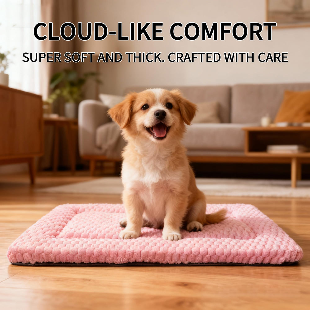 Fogkiss Tapis Chien Confort Soutien Articulations : douceur après l'activité.