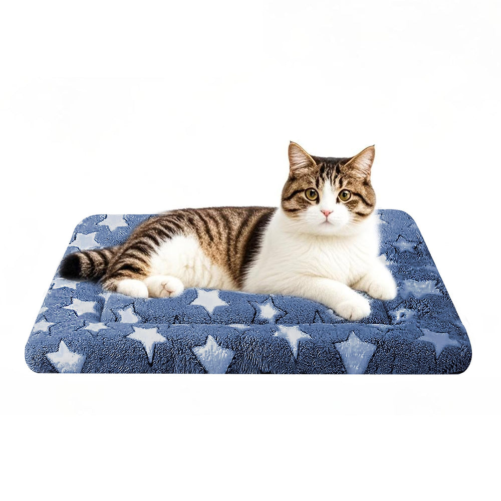 Fogkiss tapis chien double-face doux, douceur réversible pour toutes les saisons.