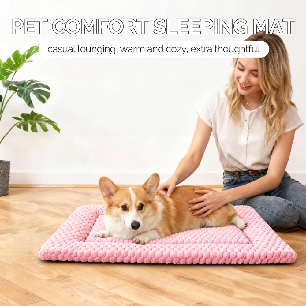 Fogkiss Tapis Chien Nettoyage Machine Facile : entretien rapide et pratique.