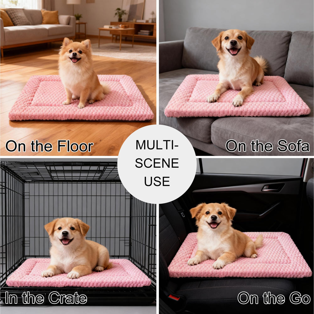 Fogkiss Tapis Chien Portable Voyage : léger et facile à transporter.