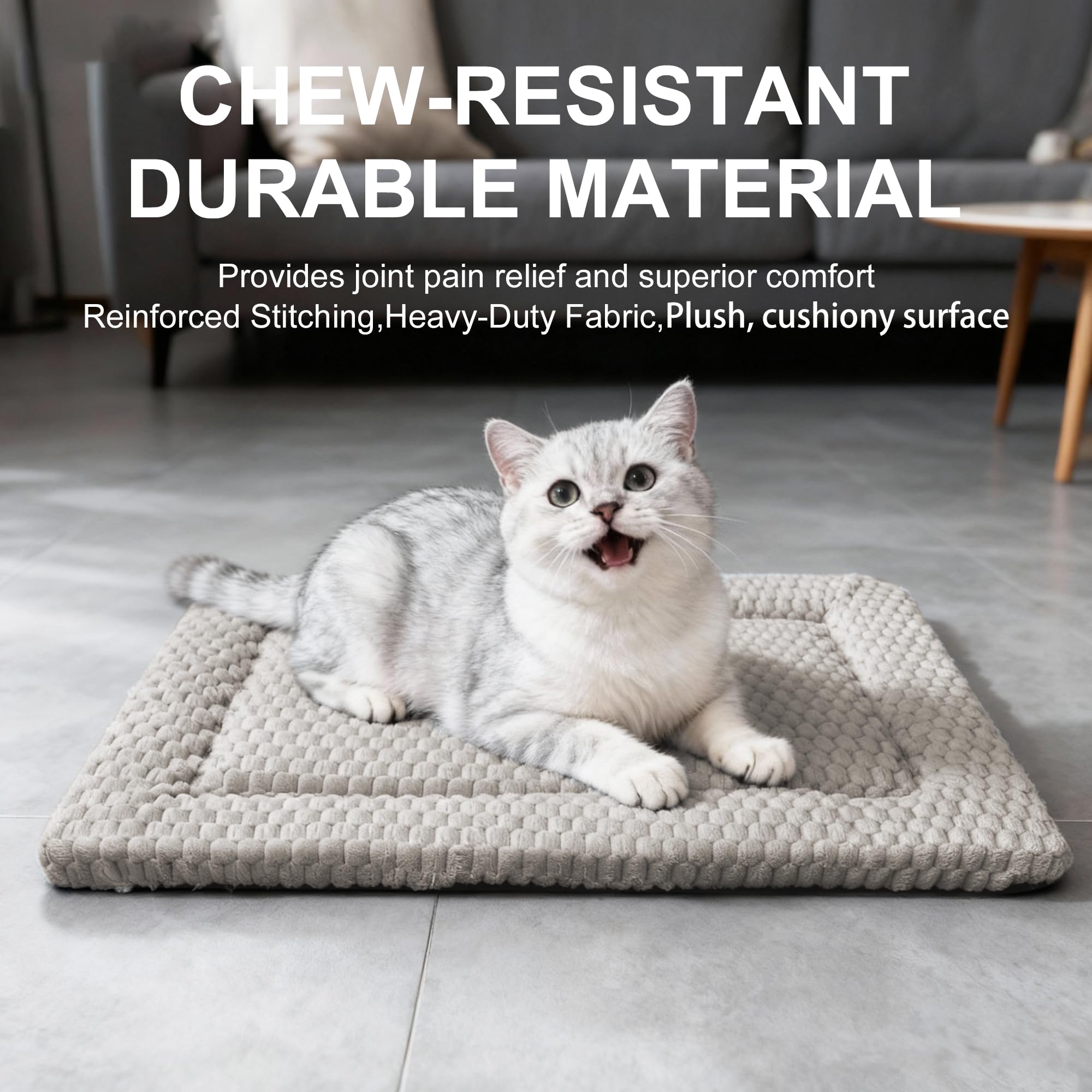 Fogkiss Tapis-Dortoir Chien Portable: facile à déplacer selon vos besoins.
