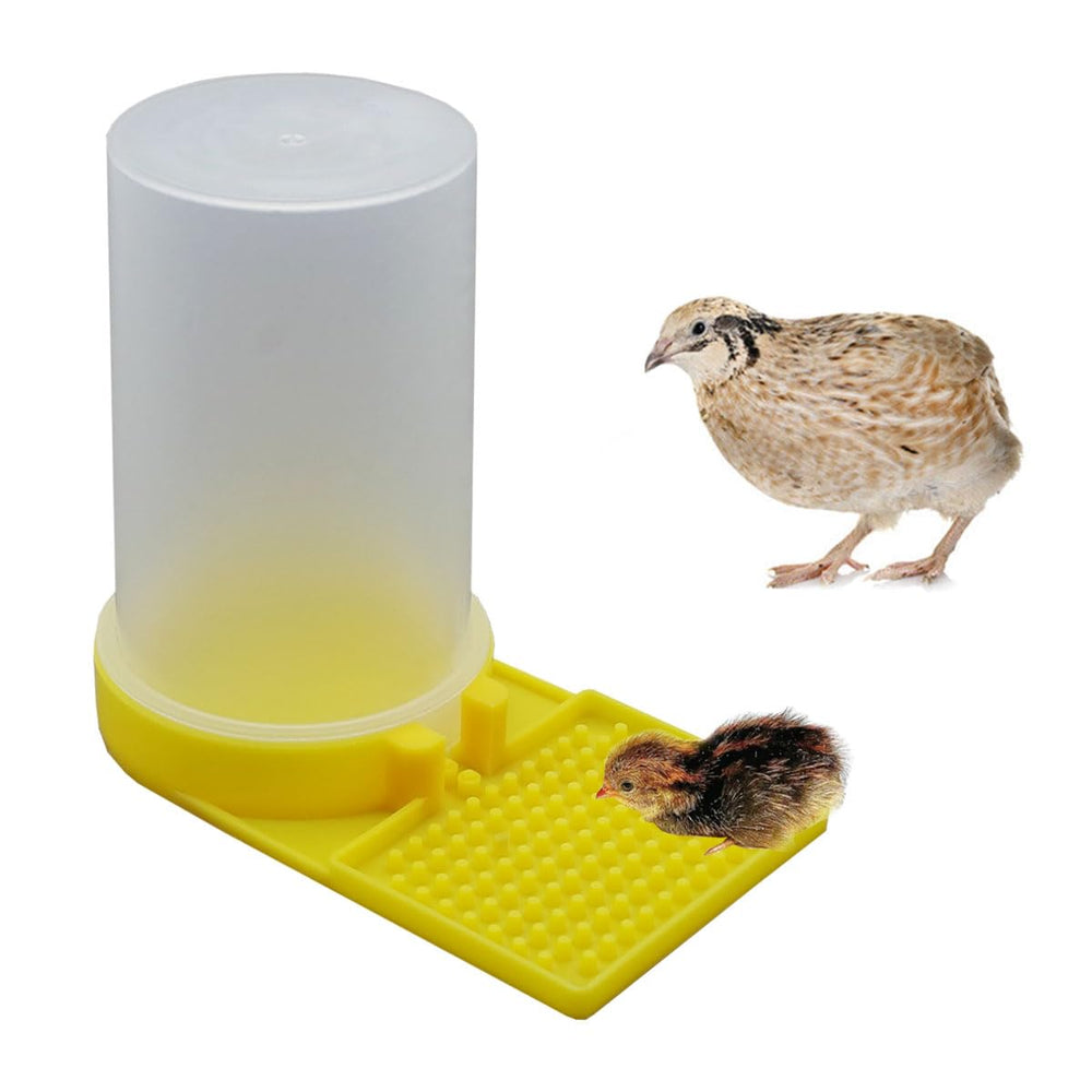 FOIBURELY abreuvoir-eau-bebe-oiseau-jaune-bouton : design sûr et pratique pour nourrir des bebes oiseaux