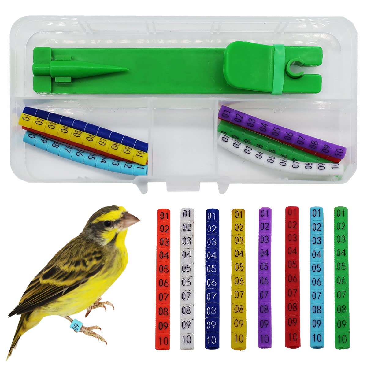 FOIBURELY: installateur et anneaux d'identification pour oiseaux, facilité d'apposition.