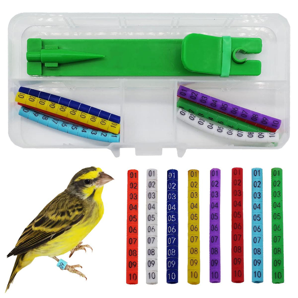 FOIBURELY: installateur et anneaux d'identification pour oiseaux, facilité d'apposition.