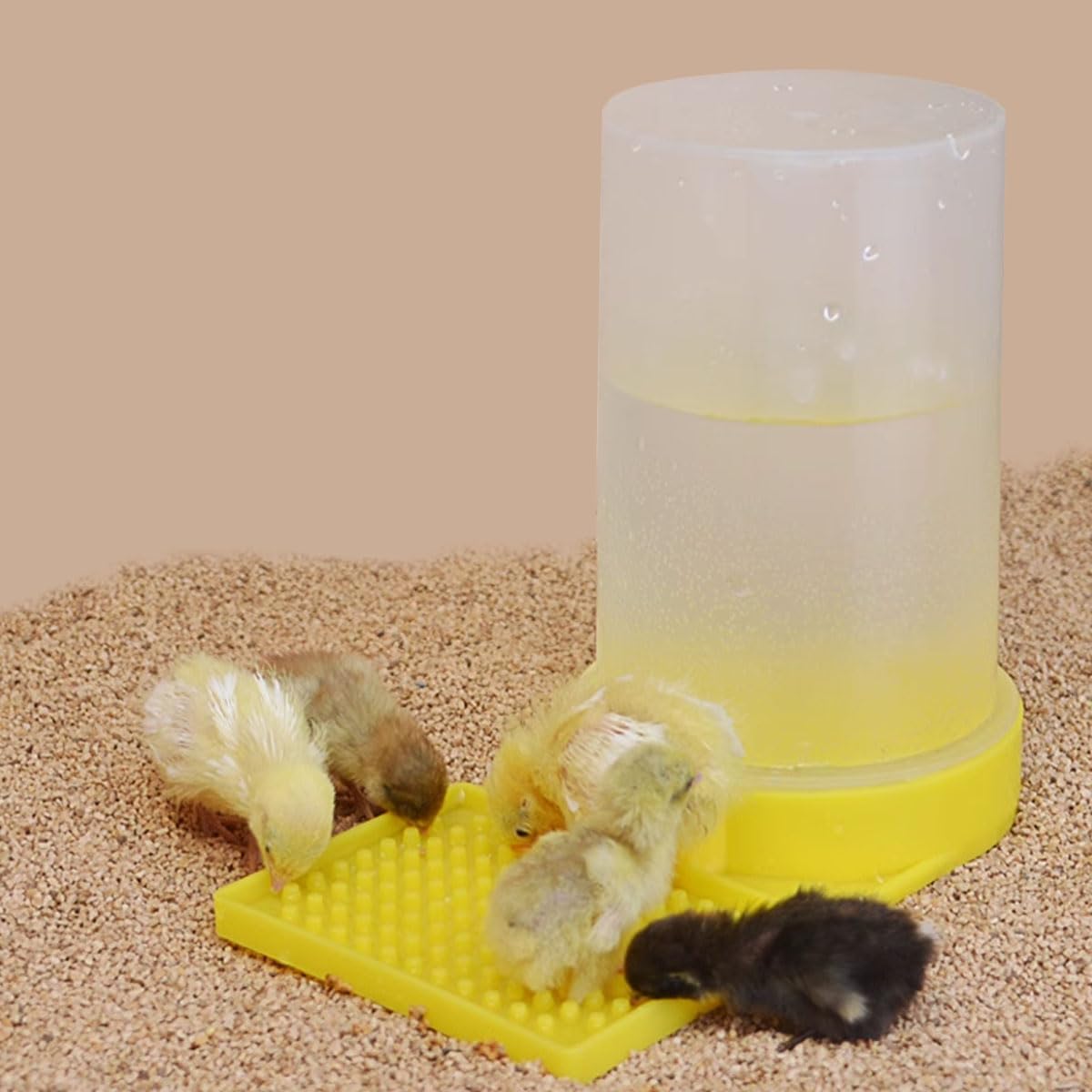FOIBURELY abreuvoir-eau-bebe-oiseau-jaune-bouton : taille compacte pour petits oiseaux et espaces
