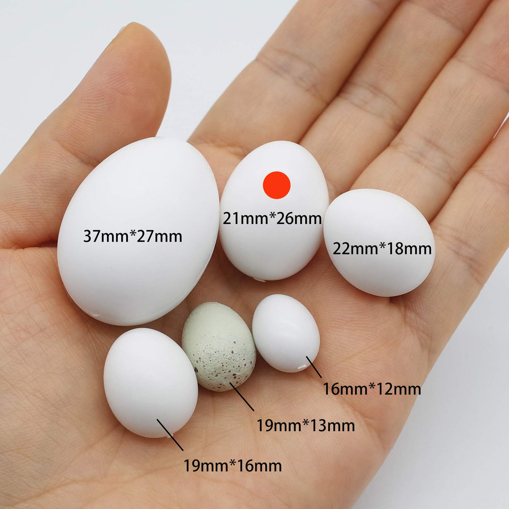 Foiburely œuf factice pour colombe à cou rouge, aide à réguler l'incubation potentielle.