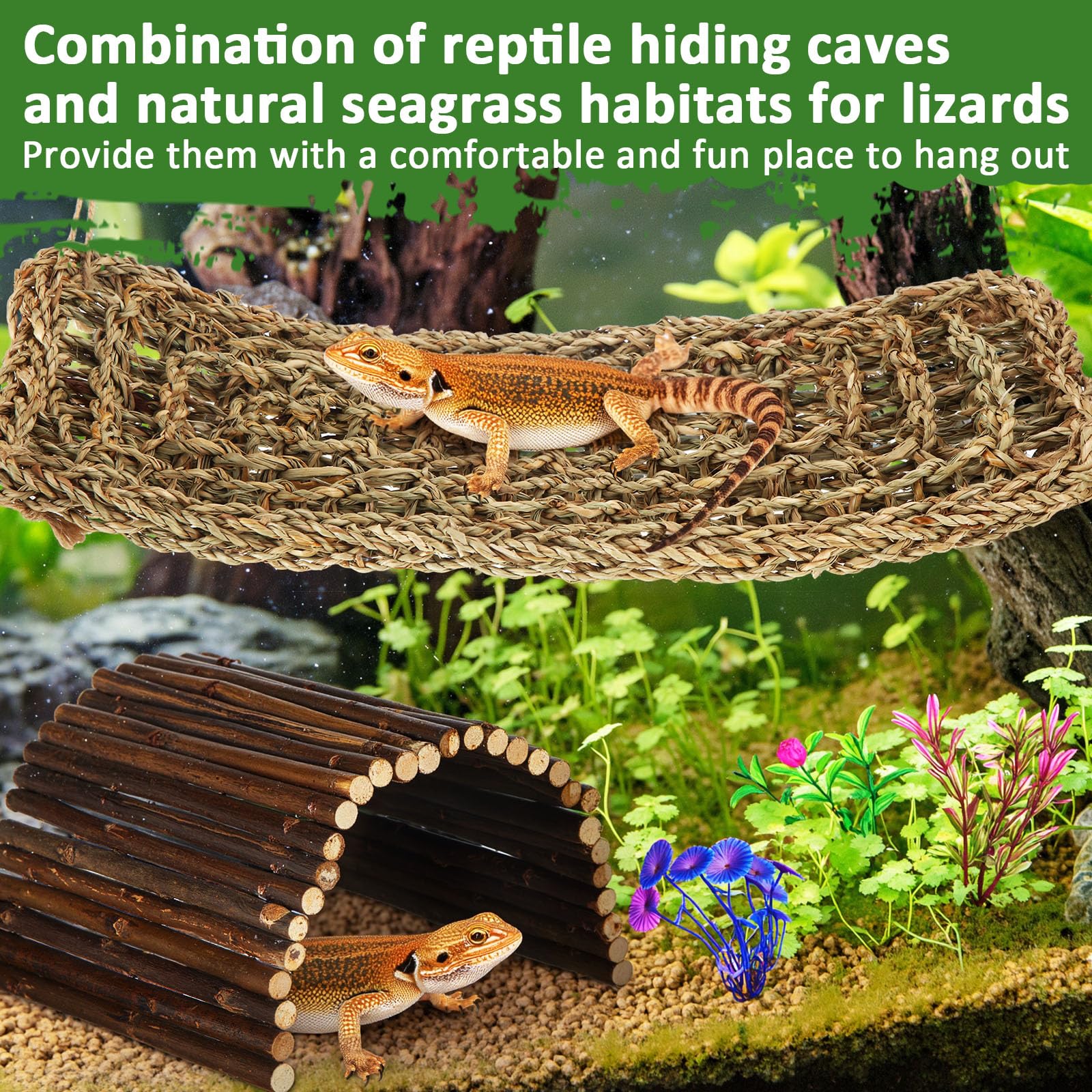 Foilswirl branche arbre reptile naturelle: support de grimpe robuste pour exercice et confort