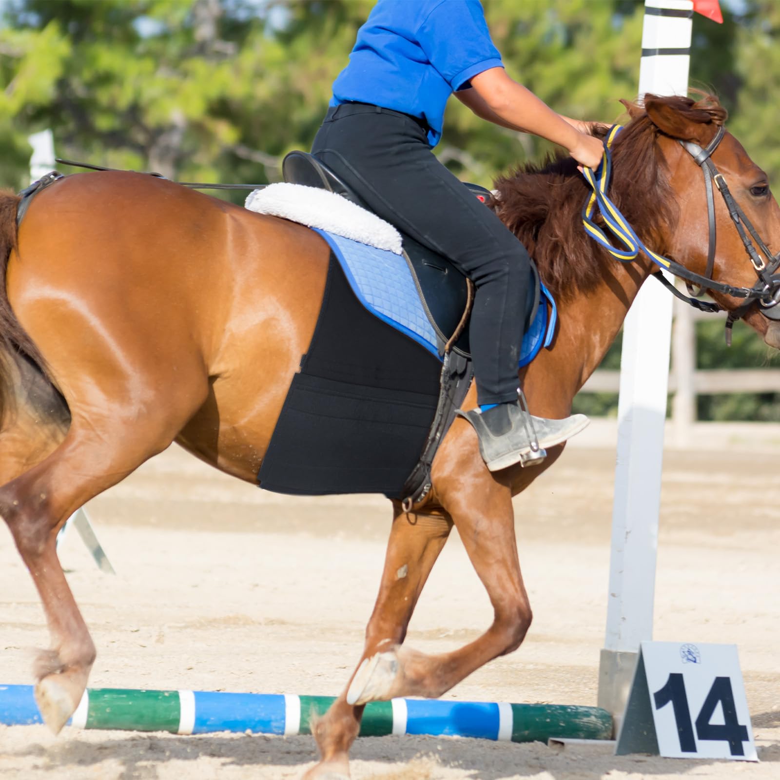 Foilswirl ensemble 1 pièce ventral cheval, solution économique et protectrice.