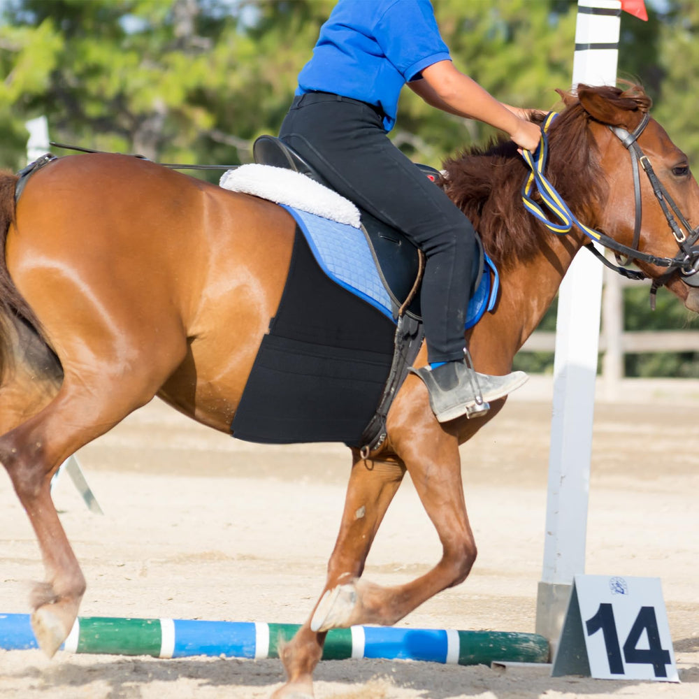 Foilswirl ensemble 1 pièce ventral cheval, solution économique et protectrice.