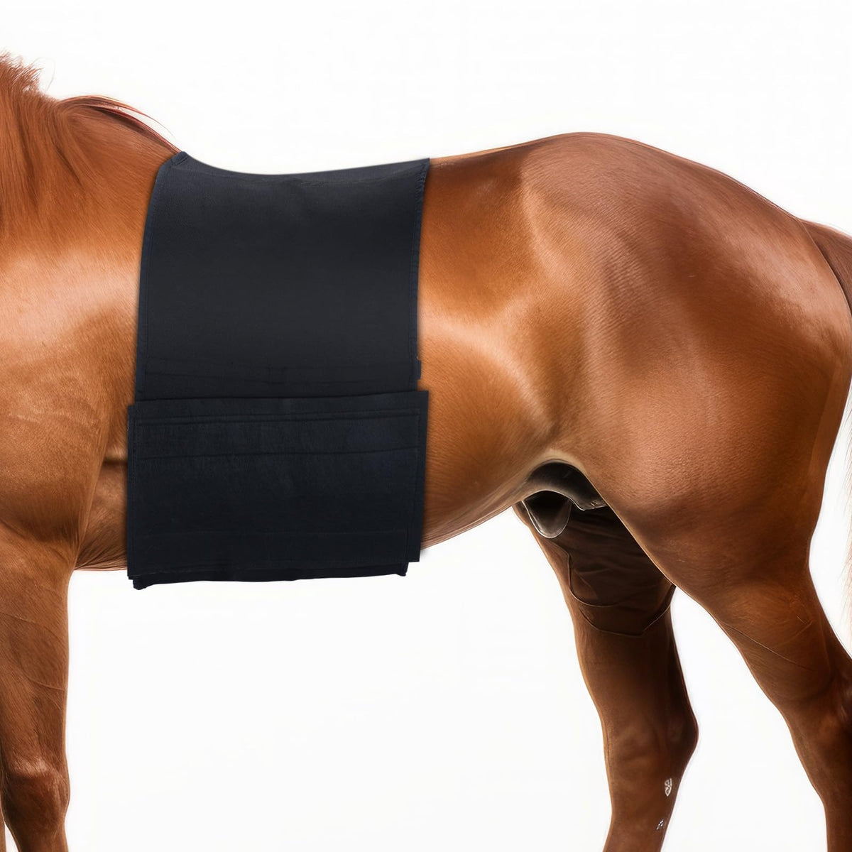 Foilswirl protège-ventre cheval en élastique offrant un ajustement confortable et sûr.