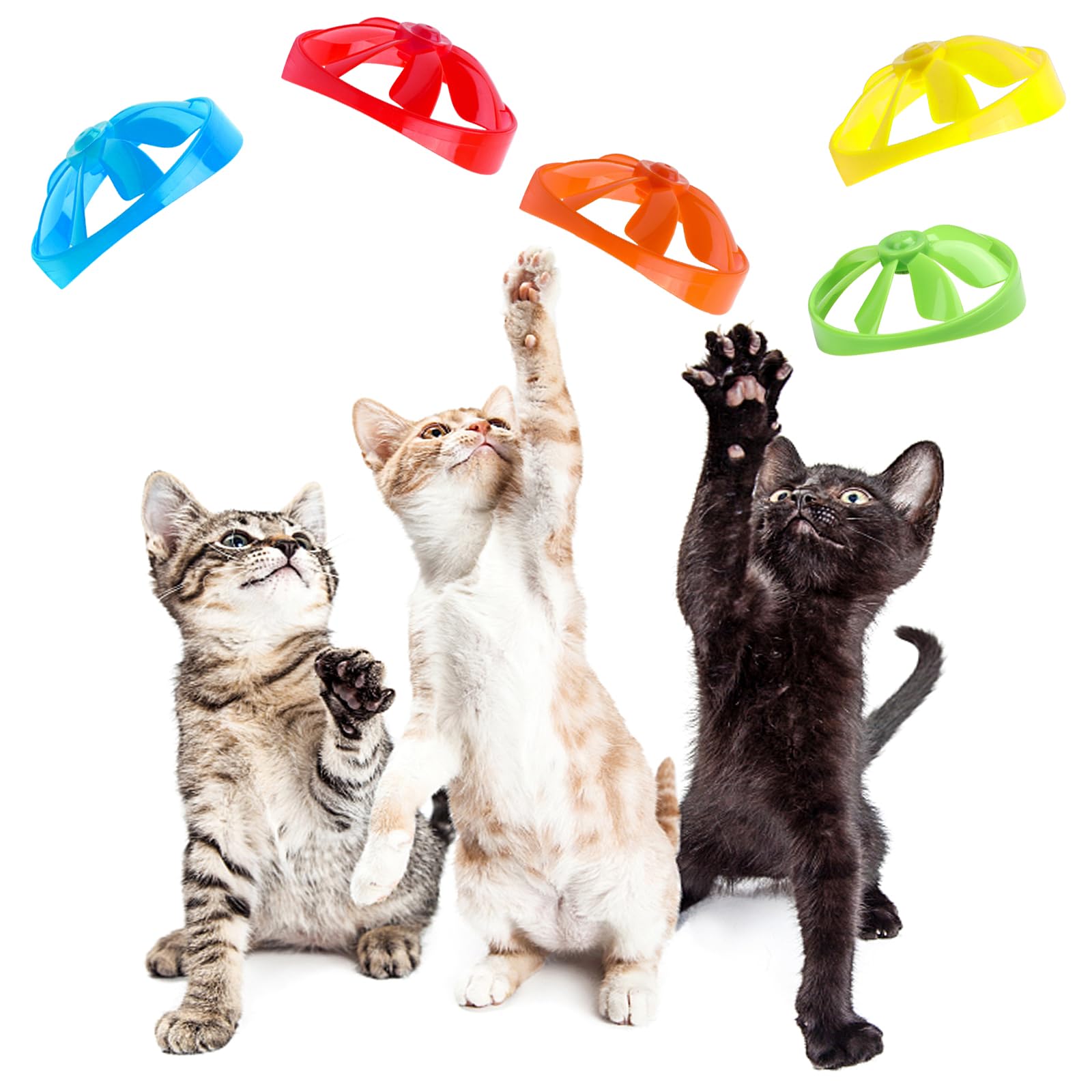 FOIMAS-chat-joueur-tracking-chasse, activité physique recommandée pour énergie quotidienne.