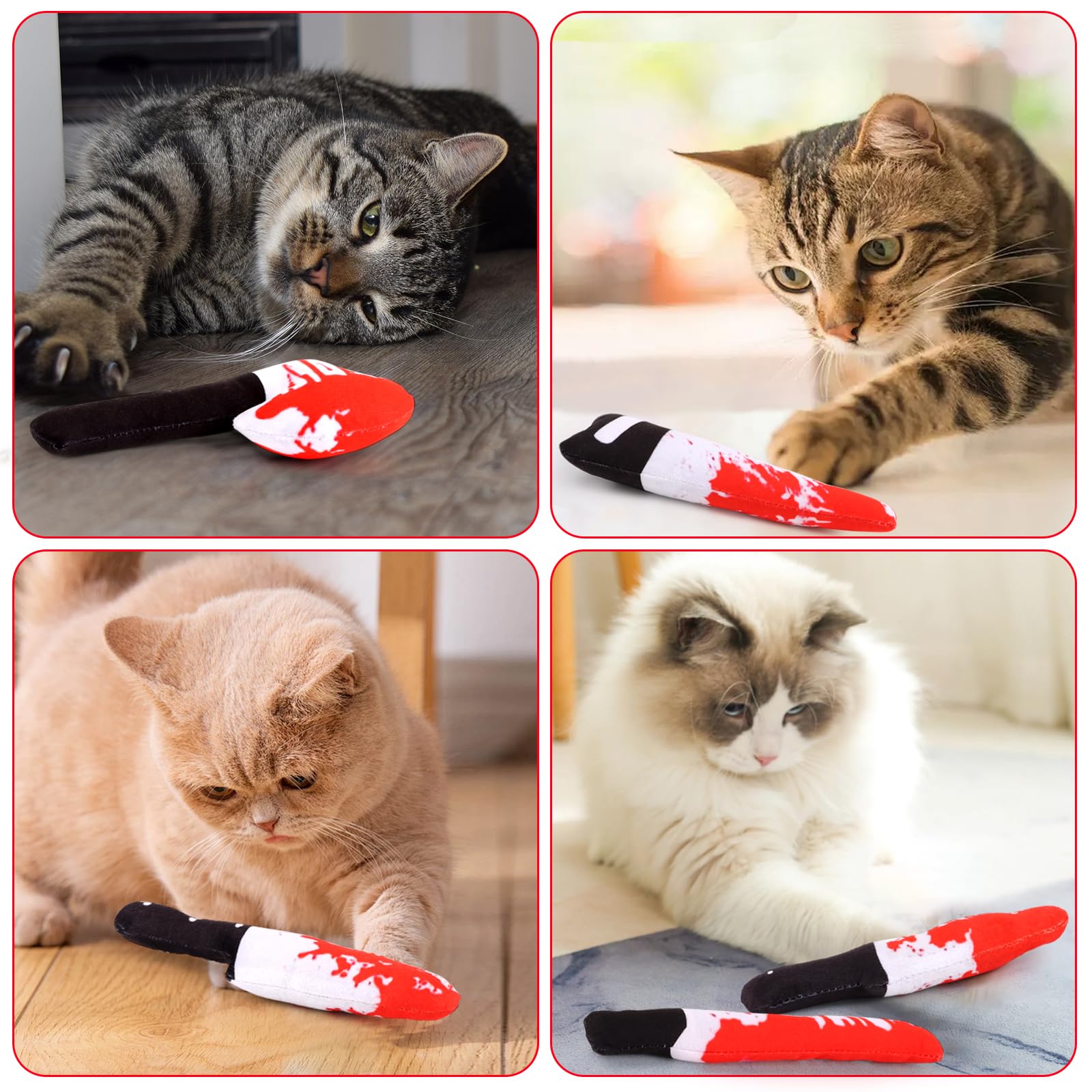Cadeau FOIMAS catnip pour chat, parfait pour renforcer le lien et le jeu