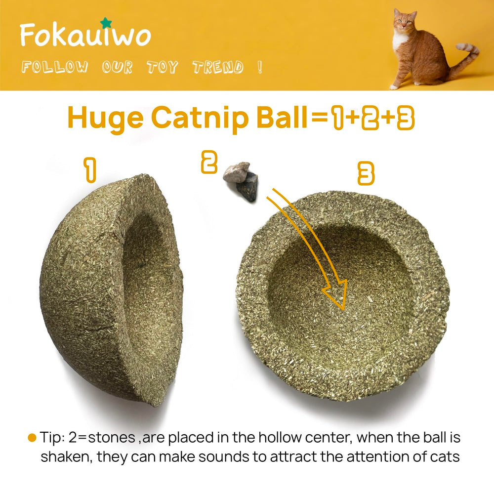 Chaton mordillant la balle catnip Fokauiwo pour dentition naturelle.