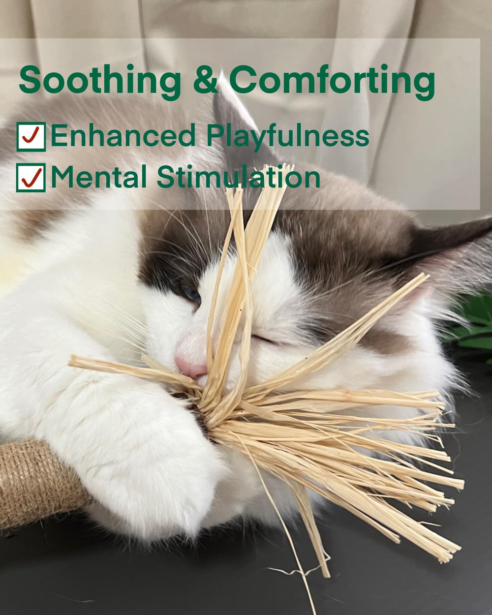 Fokauiwo corde sisal et raffia stimulant le mâchage