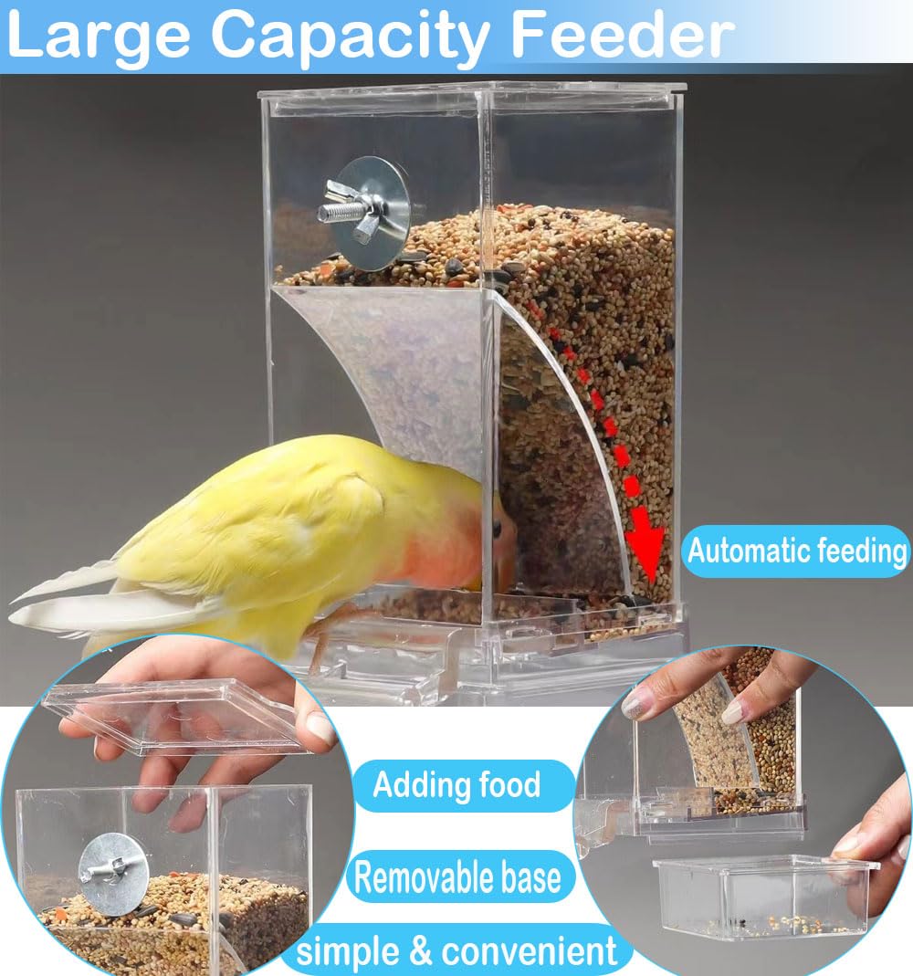 FONTSATTY design-separation-nourriture-et-coquilles: compartiment pratique pour déchets.