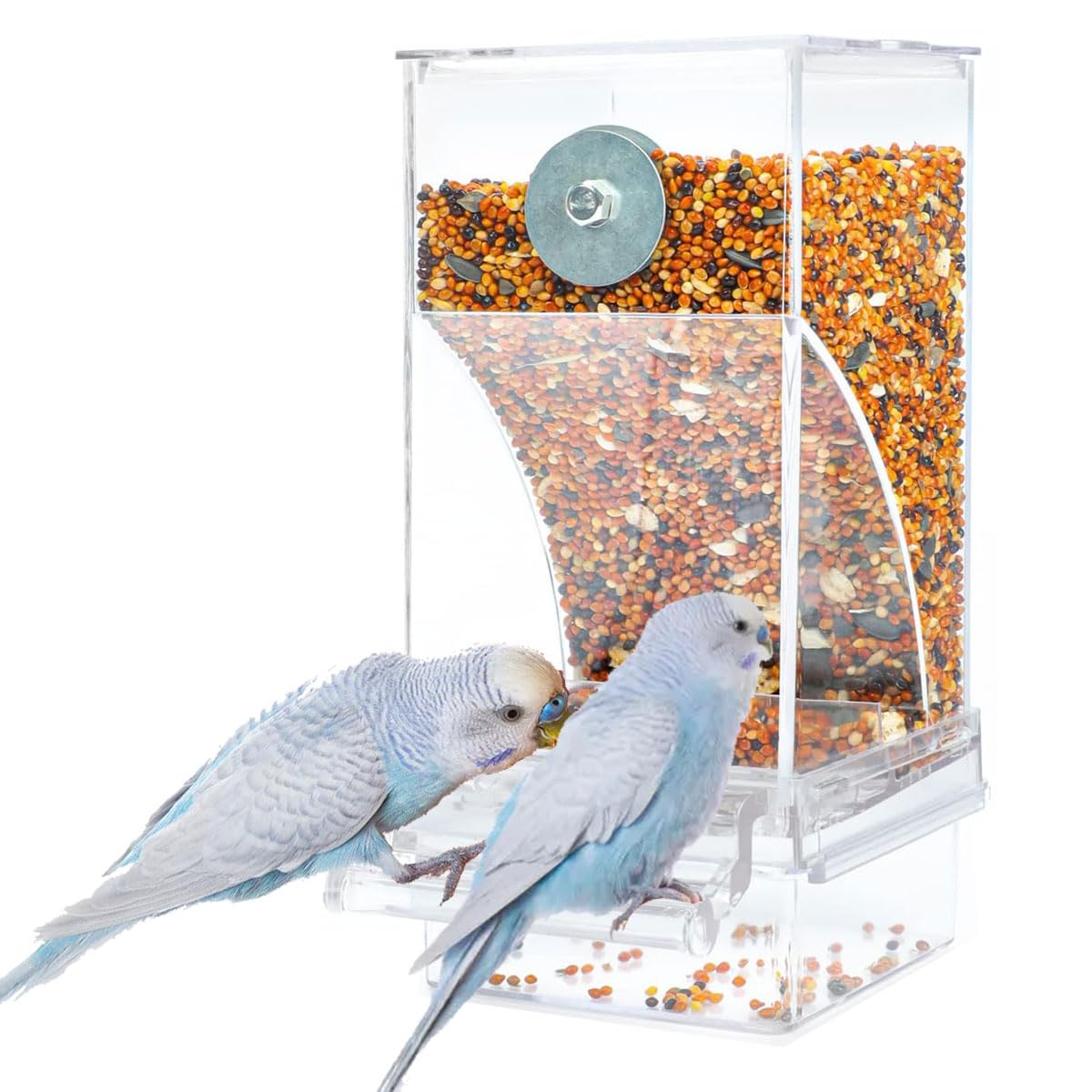 FONTSATTY distributeur-nourriture-oiseaux: observation claire grâce à l’acrylique transparent.