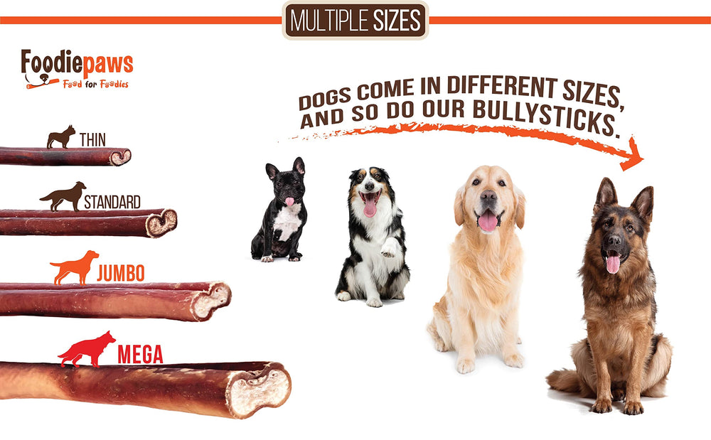 FOODIEPAWS gros bâtons pour chiens puissants