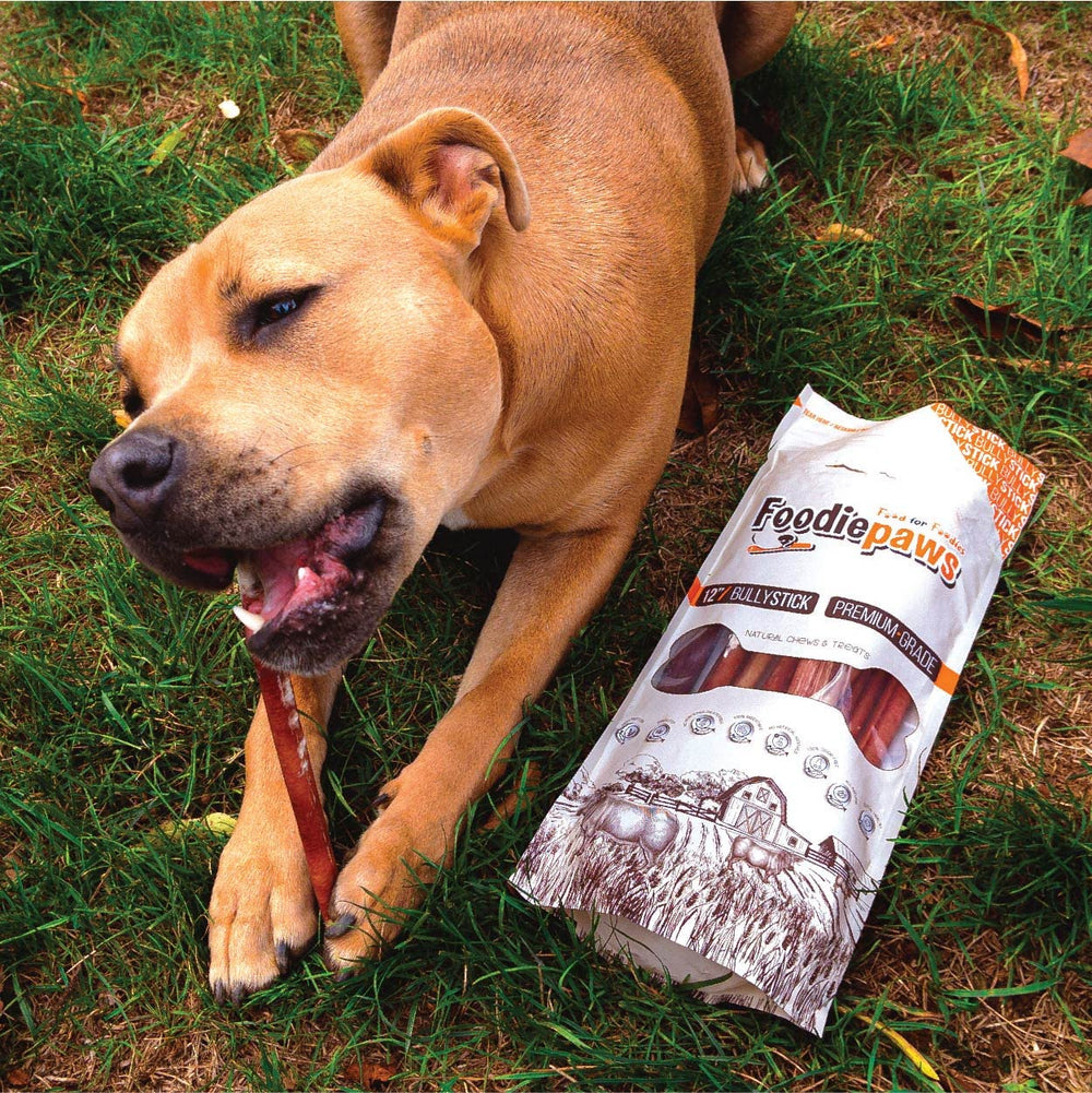FOODIEPAWS odeur maîtrisée, friandise adaptée à l’intérieur.