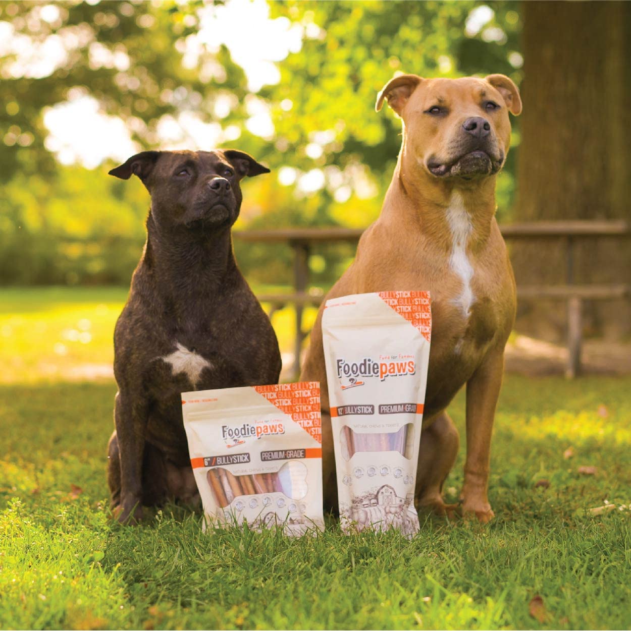 FOODIEPAWS friandise sans cuir cru pour une alternative naturelle.