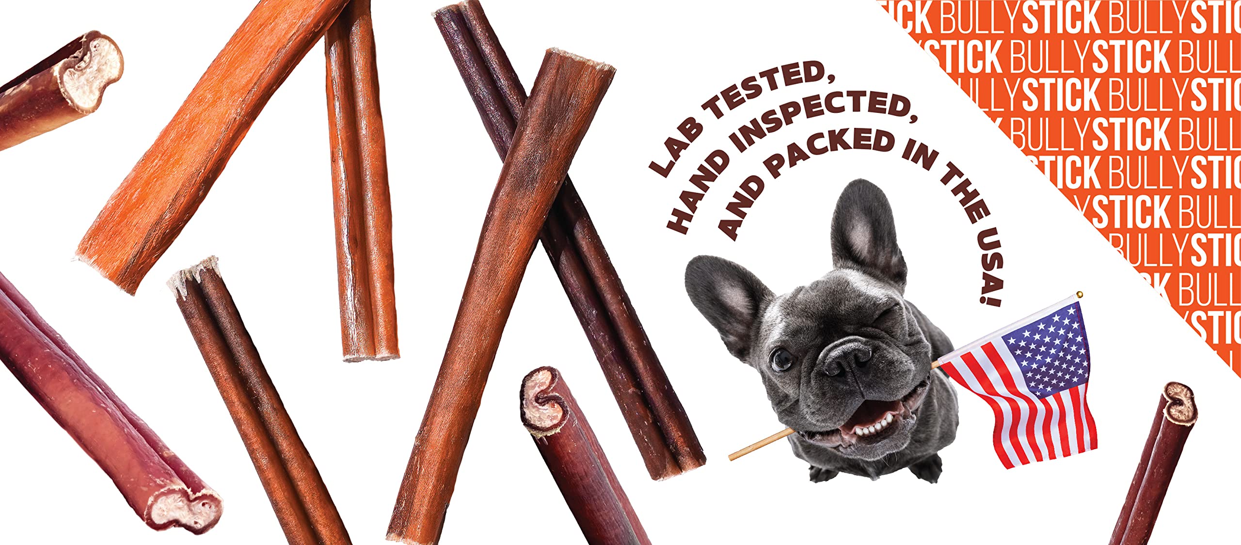 FOODIEPAWS usage quotidien, pratique en sorties et voyages.
