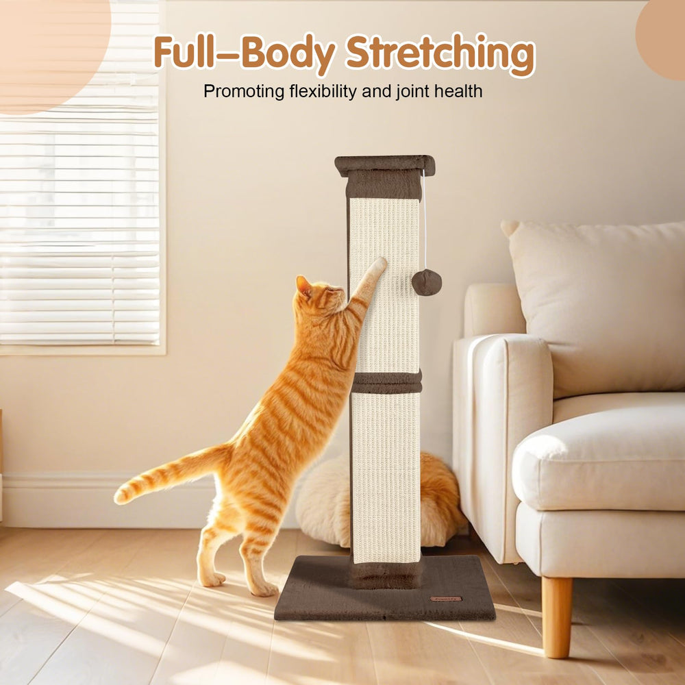 Fopetfy Exercice et Etirement chat : encourage l'activité et l'étirement.