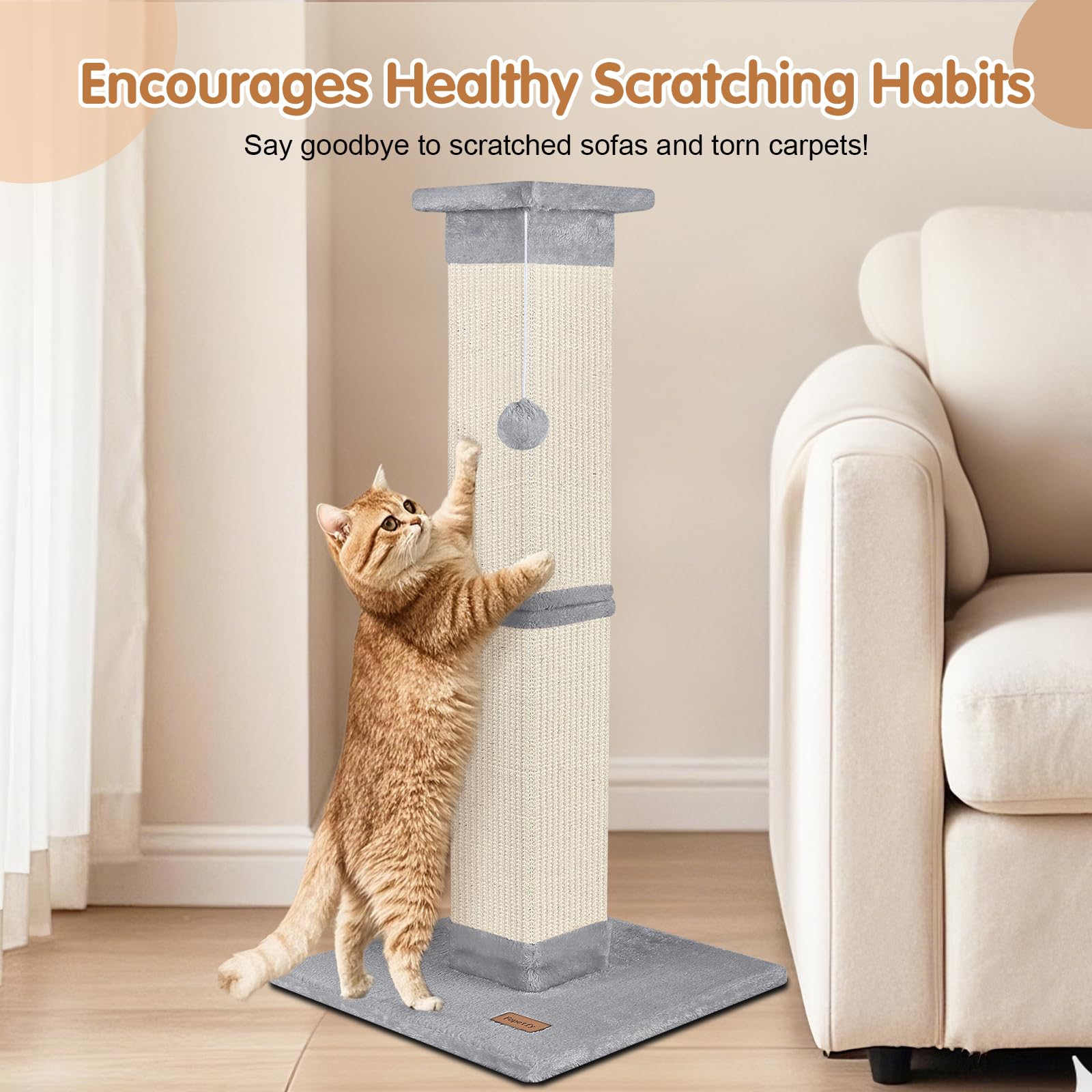 Structure renforcée Fopetfy assurant stabilité aux chats actifs.