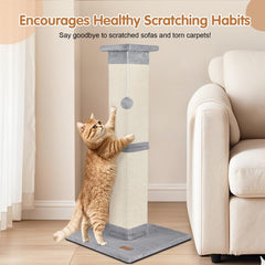 Structure renforcée Fopetfy assurant stabilité aux chats actifs.