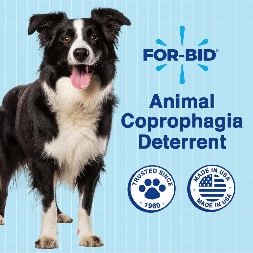 For-Bid, solution domestique simple et fiable pour les propriétaires.